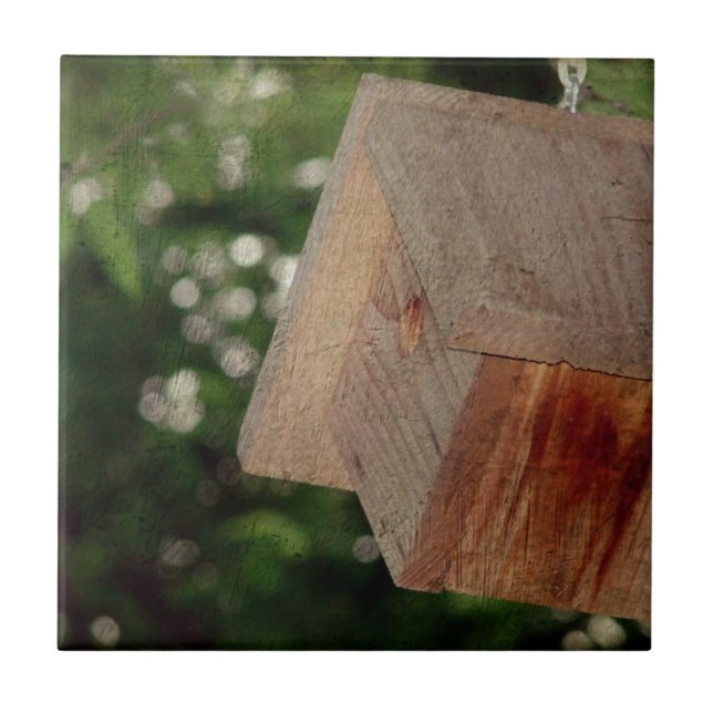 Wren House (Frente)