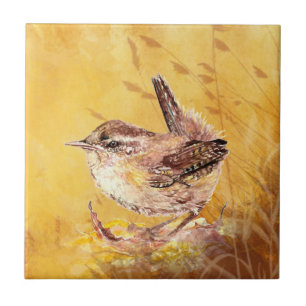 Wren Wren Bird Willife Art