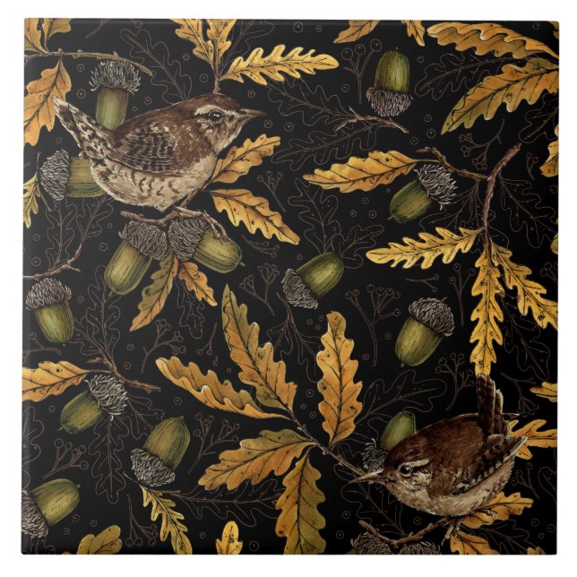 Wrens e bolotas de preto (Frente)