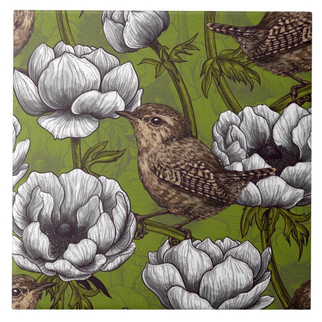 Wrens no jardim branco de anêmonas (Frente)