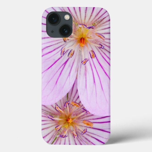 Wyoming, Condado de Sublette, encerramento de dois (Verso)