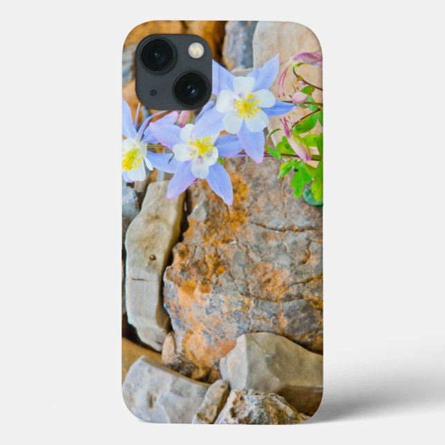 Wyoming, Grand Teton National Park 1 (Verso)