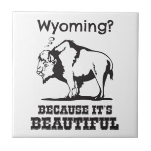Wyoming? Porque é lindo