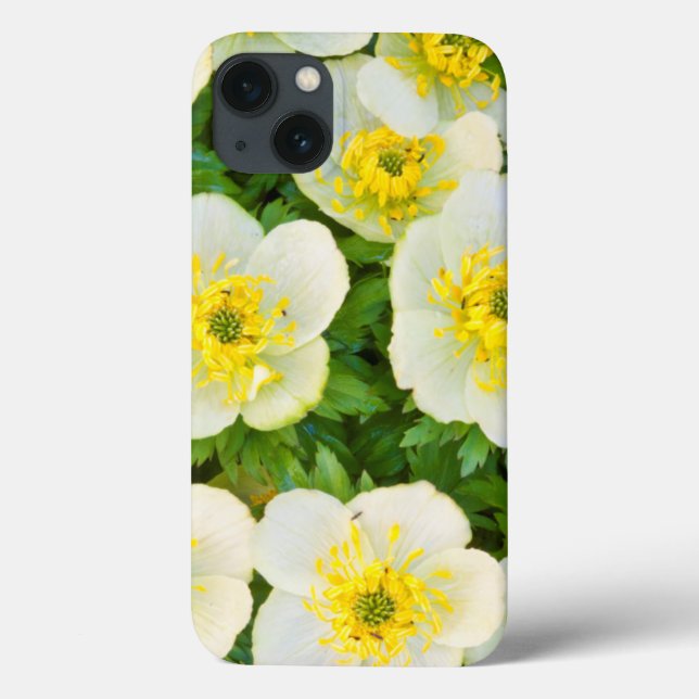 Wyoming, Sublette County, Close-up of a group (Verso)