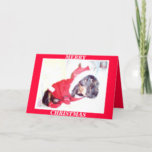 X MAS CHRISTMAS CARTÕES - HEIDI PUP - DASCHUND MIN