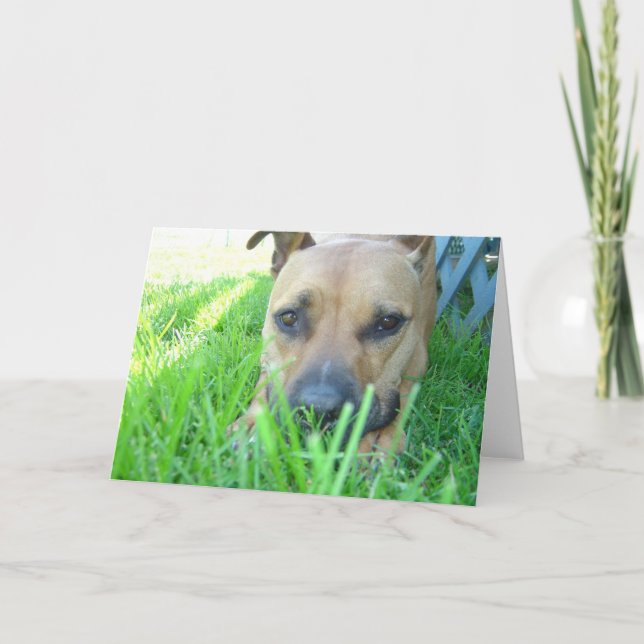 Xena no cartão (Frente)