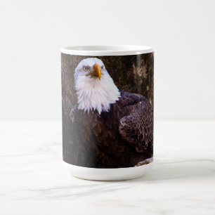 Xícara de café careca