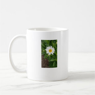 Xícara de café de margarida branca