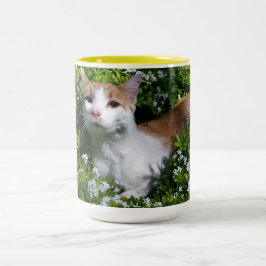 Xícara de Café Per-feita