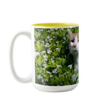 Xícara de Café Per-feita