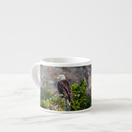 Xícara De Espresso Águia caída sentada na rocha
