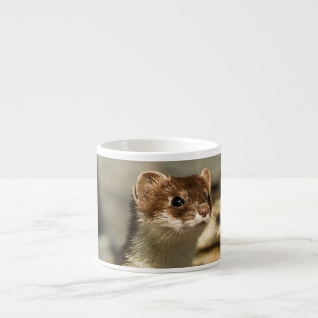 Xícara De Espresso Alerta Weasel (Frente)