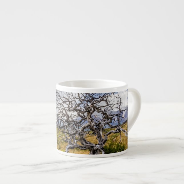 Xícara De Espresso Árvore queimada, Torres del Paine, Chile (Frente Esquerda)