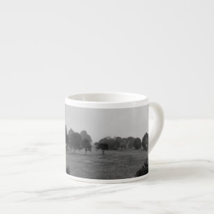 Xícara De Espresso Belas árvores e natureza no nevoeiro
