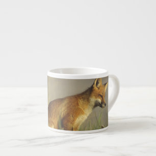 Xícara De Espresso Canadá, Quebec. Filhote de raposa vermelha ao nasc