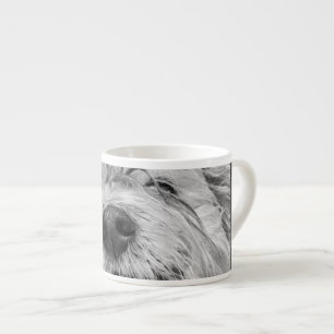 Xícara De Espresso Cão Coton de Tulear