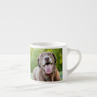 Xícara De Espresso Cão de Chocolate