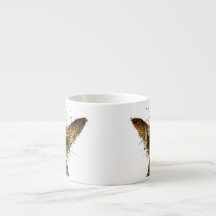 Cão diminuto pequeno engraçado bonito