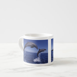 Xícara De Espresso Caribenhos, golfinhos-nariz-de-garrafa