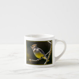 Xícara De Espresso Cedar Waxwing Songbird Original Foto de Pássaro Se