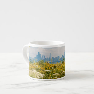 Xícara De Espresso Chicago como visto do pássaro do porto de Montros