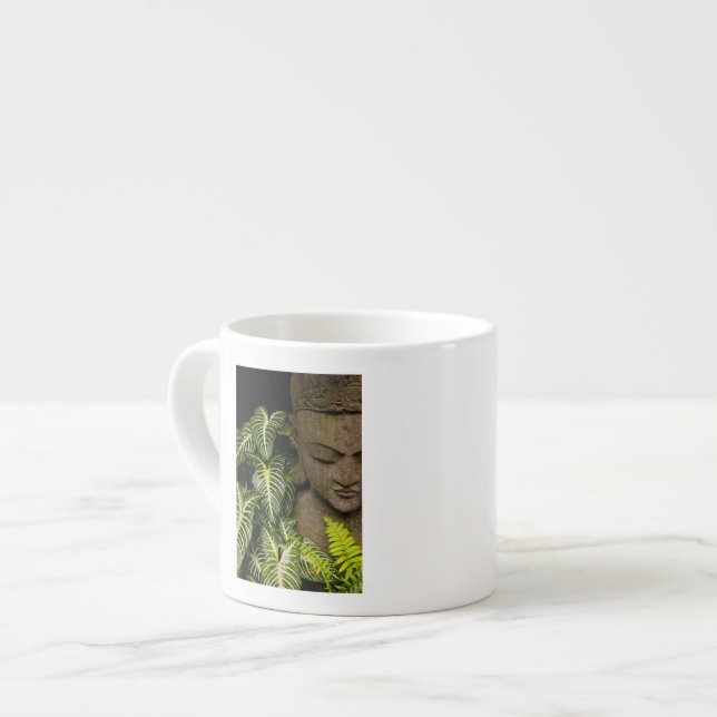 Xícara De Espresso Estátua em um jardim: Chiang Mai, Tailândia (Frente Esquerda)