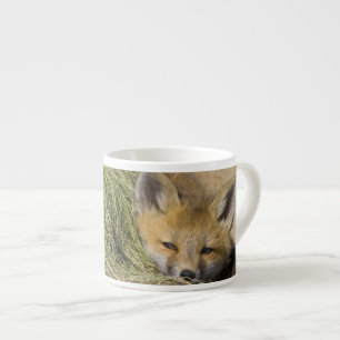 Xícara De Espresso EUA, Colorado, Breckenridge. Alerta raposa vermelh