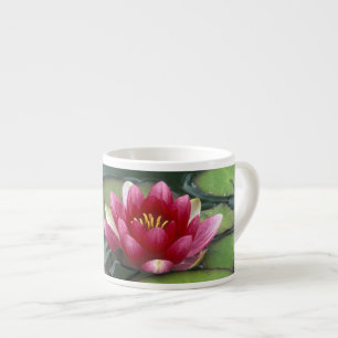 Xícara De Espresso EUA, Estado de Washington, Seattle. Lírio e