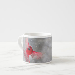 Xícara De Espresso EUA, Indiana, Indianapolis. Um cardinal macho