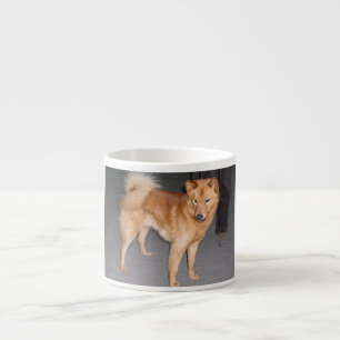 Xícara De Espresso Finnish_Spitz full.jpg