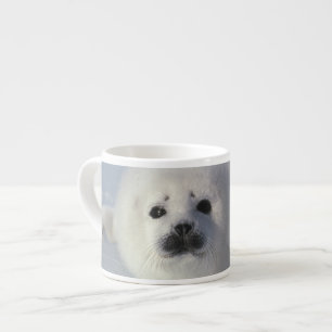 Xícara De Espresso Foca da Groenlândia Phoca groenlandica) Uma foca d