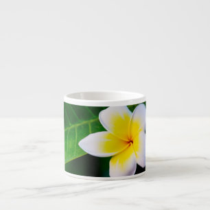 Xícara De Espresso Fotografia de Flor de Plumeria