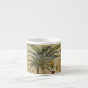 Xícara De Espresso Fruta de Palma Tropical Antica Botânica