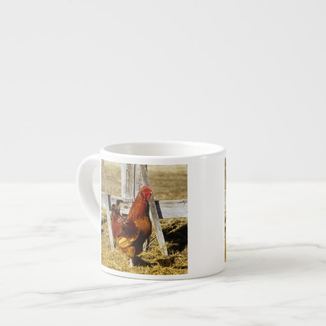 Xícara De Espresso Galo Vermelho de Rhode Island (Frente Esquerda)
