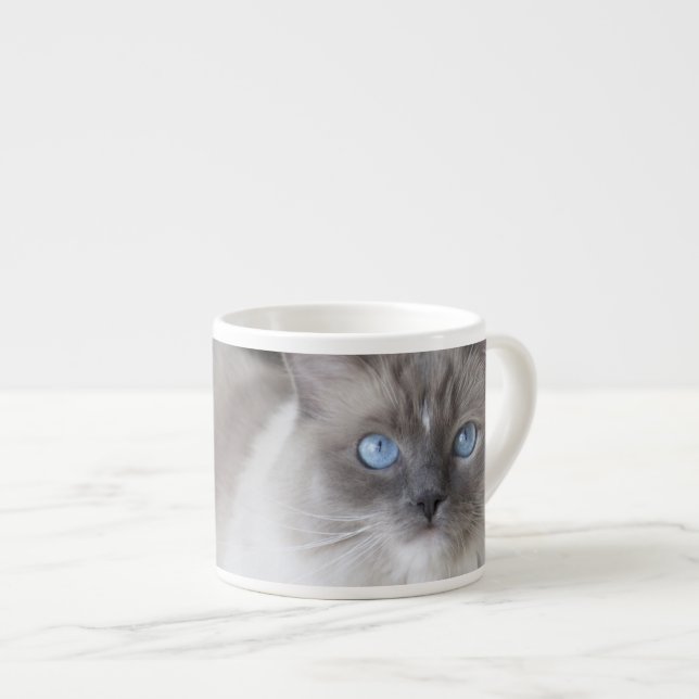 Xícara De Espresso Gata Ragdoll fêmea (Frente Esquerda)