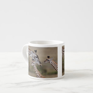 Xícara De Espresso Girafa Masai (Giraffa tippelskirchi)