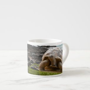 Xícara De Espresso Grande tartaruga na borda do mar