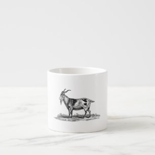 Xícara De Espresso Ilustração da cabra doméstica do vintage - cabr