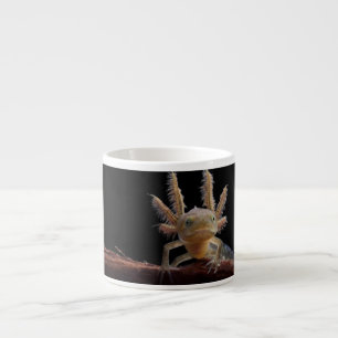 Xícara De Espresso Larve com crista do newt