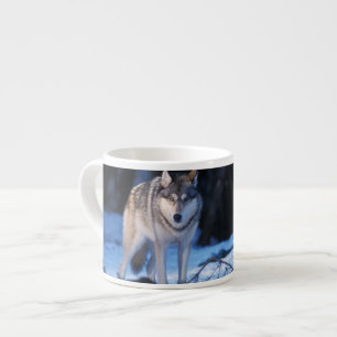 Xícara De Espresso lobo cinzento, Canis lupus, nos contrafortes