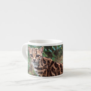 Xícara De Espresso Margay, Leopardus wiedi, Nativo do México até