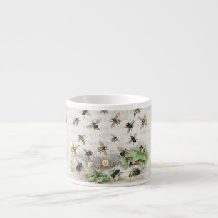 Xícara De Espresso Melhor Rainha Abelha Entomologia Botânica Vintage