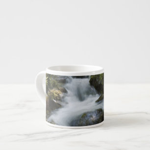 Xícara De Espresso Nova Brunswick, Canadá. Dickson Falls em Fundy