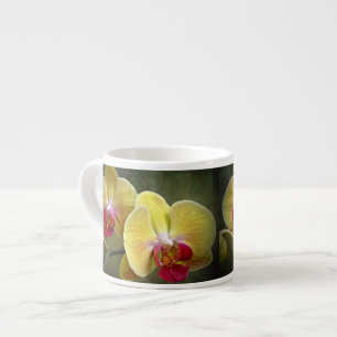 Xícara De Espresso Orquídeas-Mama amarelas - Phalaenopse
