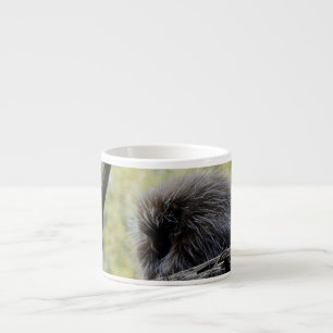 Xícara De Espresso ouriço arborícola
