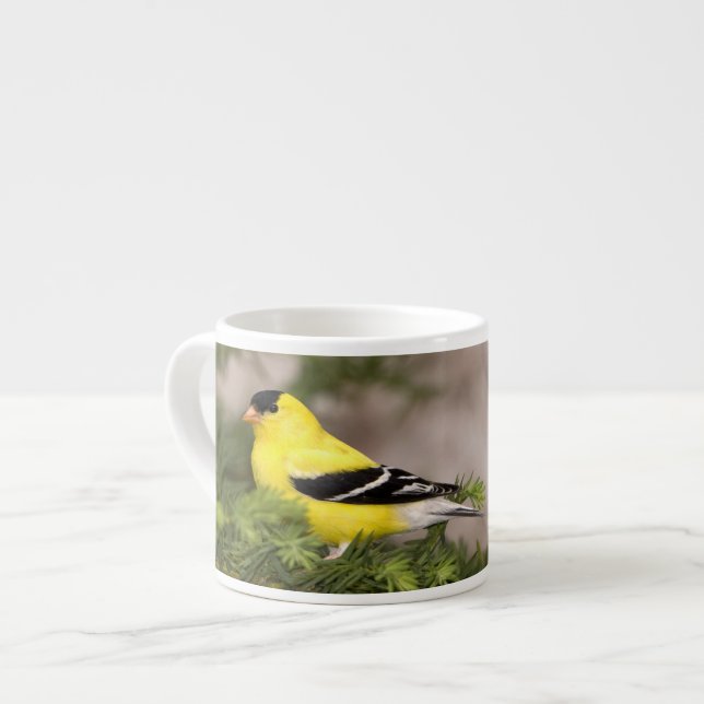 Xícara De Espresso Pássaro-dourado-americano macho em uma árvore (Frente Esquerda)