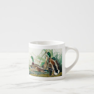Xícara De Espresso Patos-de-gato de aves da América (Audubon)