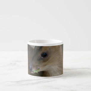 Xícara De Espresso Pequeno Muntjac