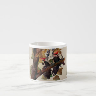 Xícara De Espresso Pica-Pau-Grande de John James Audubon Impressão de