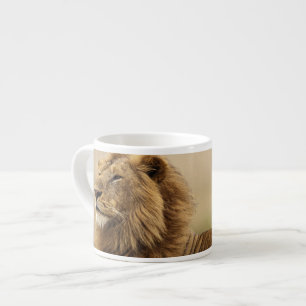 Xícara De Espresso Quênia, Masai Mara Leão macho